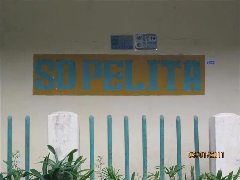 SDS Pelita