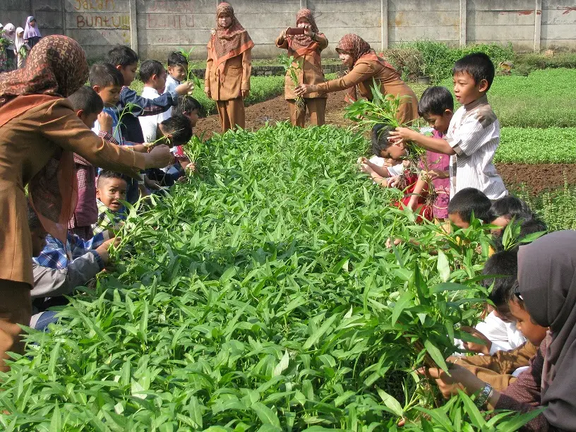 TK ISLAM AL-HIKMAH