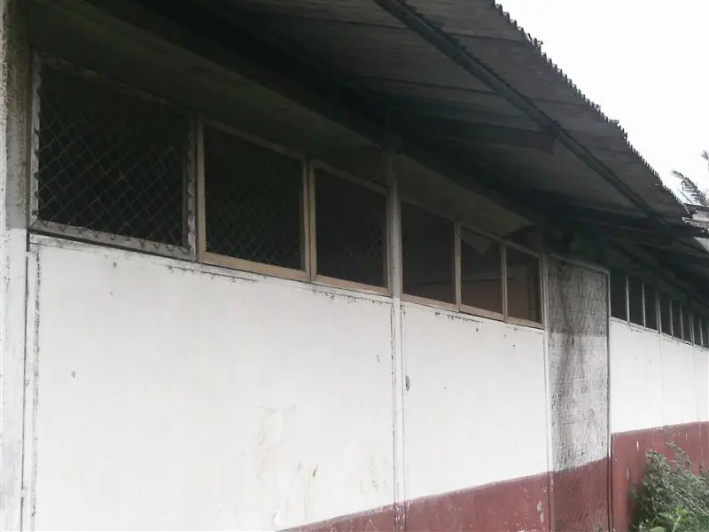 Foto Pelita Alam
