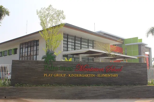 Foto Palm Trees Montessori